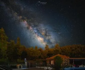 La Palma Wild Life - Barrial