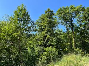 Maisons de vacances Domaine des Constellations - Gites & Bains Nordiques : photos des chambres