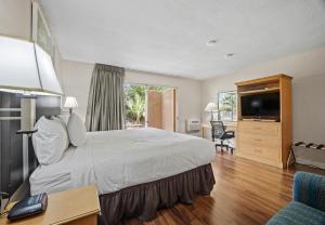 King Room - Disability Access room in Travelodge by Wyndham Cathedral City