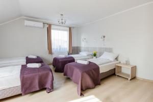 Pensjonat Cracovia Arabians - Ojcowski Park Narodowy