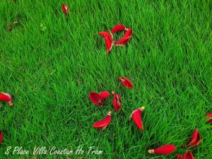 HỒ TRÀM 07 - Biệt thự Villa cao cấp Hồ Tràm ll pool bbq gần biển