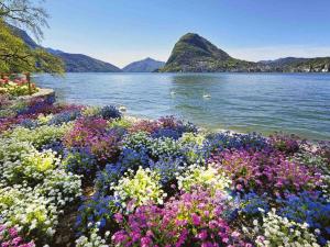 Violet Suite 5 Lugano City for 3 Guest -By EasyLife Swiss