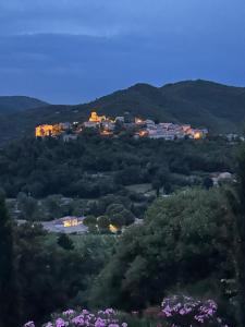 B&B / Chambres d'hotes Bastide Saint-Thome : photos des chambres