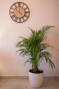 Vonitsa Luxury Apartments