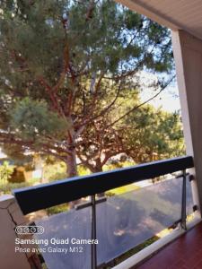 Appartements La Grand Motte - 2 personnes seulement - Centre - Plage : photos des chambres