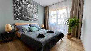 Apartament Widna