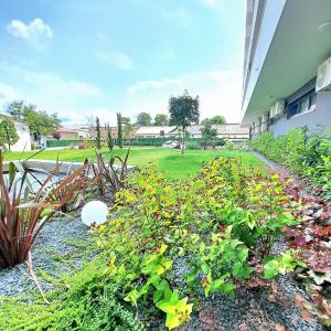 Urban Exclusive Oradea