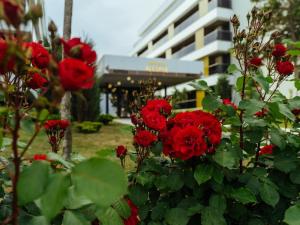 Bond Apartment - Astria Olimp