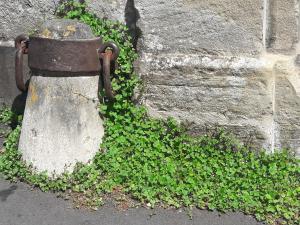 Appartements Pleasant apartment in Bayeux with garden : photos des chambres