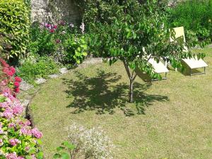 Appartements Pleasant apartment in Bayeux with garden : photos des chambres