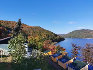 Knotty Pine Ocean Front Suite - Adults Only