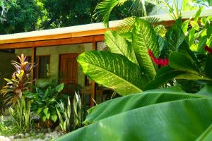 Cabinas Playa Surf Hostel