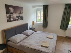 Apartmány ČERNÝ KOHOUT