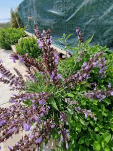 Villa Quattro Archi img64