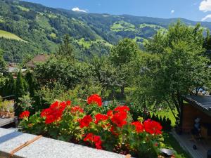 Apartment in Aschau with Zillertal Views
