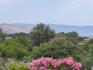 Cala Lupo bis img14