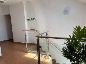 Apartament Brzóza Królewska