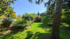Reflet De PROVENCE dans cadre de verdure avec piscine chauffée