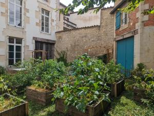 Maisons de vacances Gite La Rose tremiere : photos des chambres