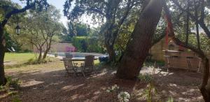 Appartements La Vigne et L'Olivier : photos des chambres