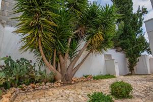 Residence Dolce Vita