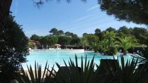 Chalet Bassin dArcachon