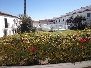 HACIENDA 12A MENYBER