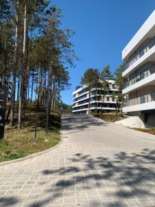 Shellter Apartments By the Sea Rogowo