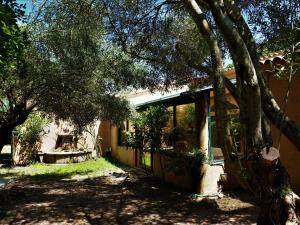 Villas MAMMONA : photos des chambres