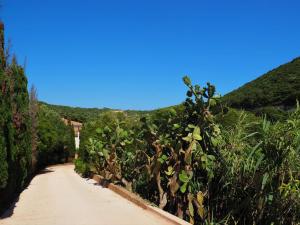 Villas MAMMONA : photos des chambres