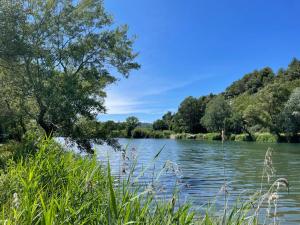 Appartements Studio - Greoux les Bains : photos des chambres