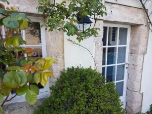 Appartements Charmant ancien clos viticole : photos des chambres