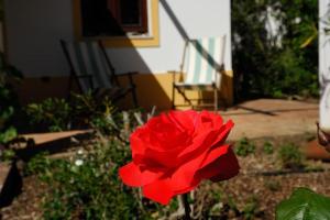 In der Natur und nah am Meer: Casa Sul