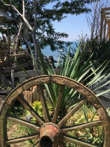 Budget First Sea Line Apt. FLORA