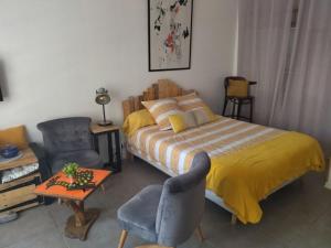 Beau studio refait a neuf centre ville avec clim balcon