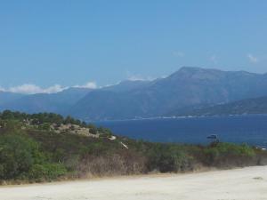 Clematisso photo 12