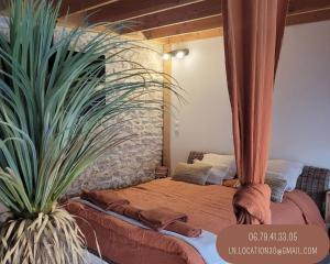 Appartements Studio de charme - Le Strelitzia : photos des chambres