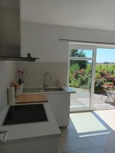 Robbe - Dieksanderkoog