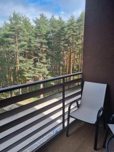 Vila Peković Blue A17 sa garažom-Zlatibor