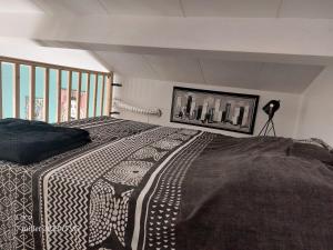 Appartements DORMIR A MONTAUBAN Logements Carreyrat Calme et Verdoyant : photos des chambres
