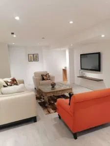 New modern basement in Milton - Milton