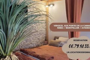 Appartements Appartement cosy & piscine privee - Le Strelitzia : photos des chambres