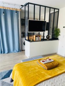 Appartements Le Celeste - Centre ville & Parking : photos des chambres