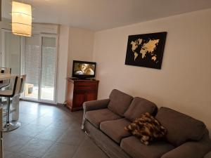 Appartements Climatise charmant et accueillant studio T1bis : Appartement 1 Chambre