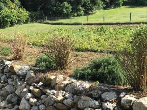 Fattoria Antica Forconia
