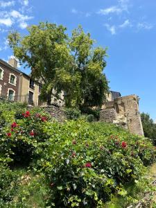 Appartement Vieux Mans