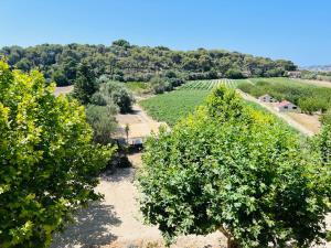 Appartements a la ferme : Appartement 2 Chambres