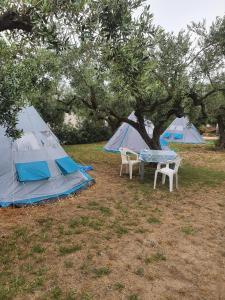 camping a selinunte (Relax fra gli ulivi)