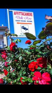 Affittacamere delle rose