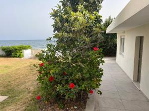 Beach Loft Poetto img43